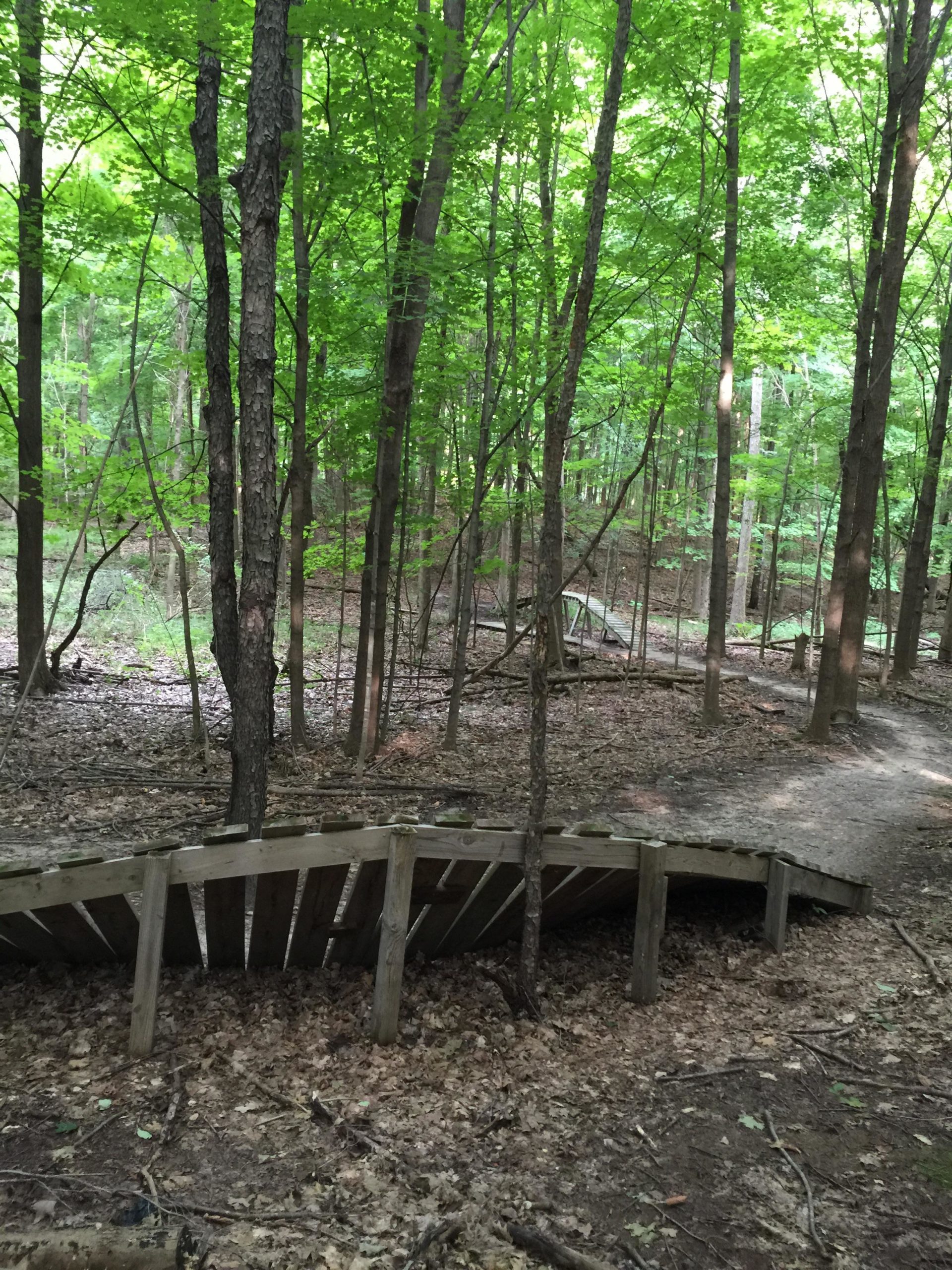 A wooden footbridge curving over a trail in a lush, green forest, surrounded by tall trees with vibrant foliage. The ground is covered with fallen leaves, and a dirt path is visible on the right. Anderson Park mountain bike trail.