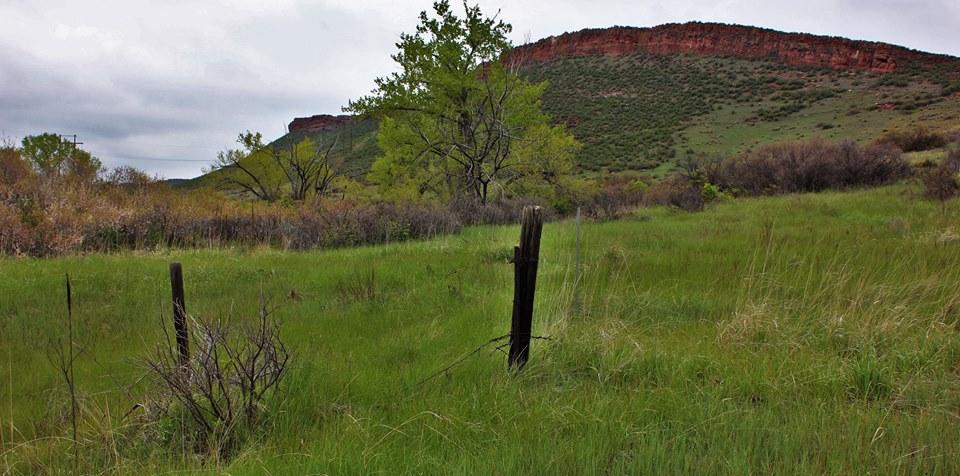 A scenic view of a grassy field featuring scattered shrubs and trees, with a prominent red rock formation in the background under a cloudy sky. A weathered wooden fence post stands in the foreground, indicating the transition between open land and cultivated areas. Blue Sky mountain bike trail.