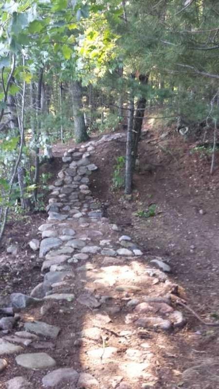 A winding stone pathway through a wooded area, bordered by trees and surrounded by earthy soil and greenery. The path is made of uneven stones, leading deeper into the forest. Raven Trails mountain bike trail.
