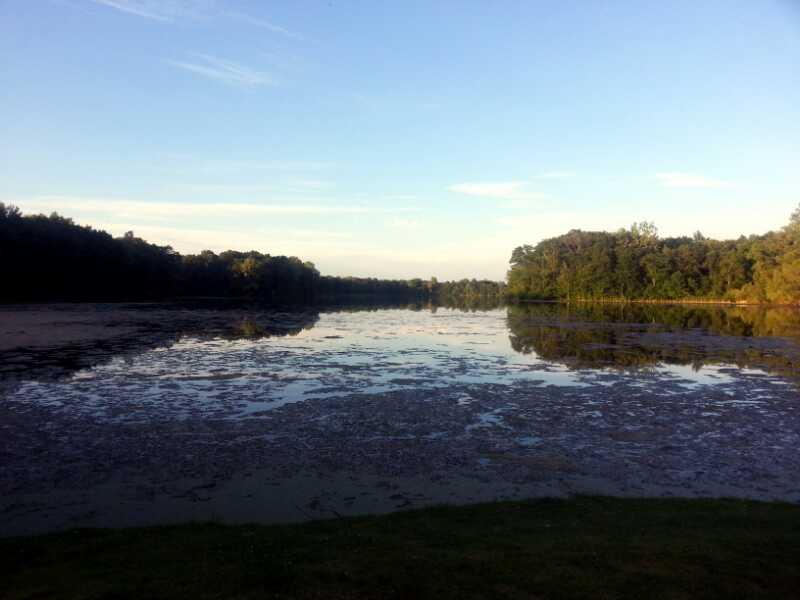 A tranquil lakeside scene with still water reflecting trees and a clear blue sky. The lake's surface is partially covered in aquatic plants, surrounded by lush greenery on the banks. Soft sunlight casts a warm glow over the landscape. Bald Mtn Rec Area mountain bike trail.