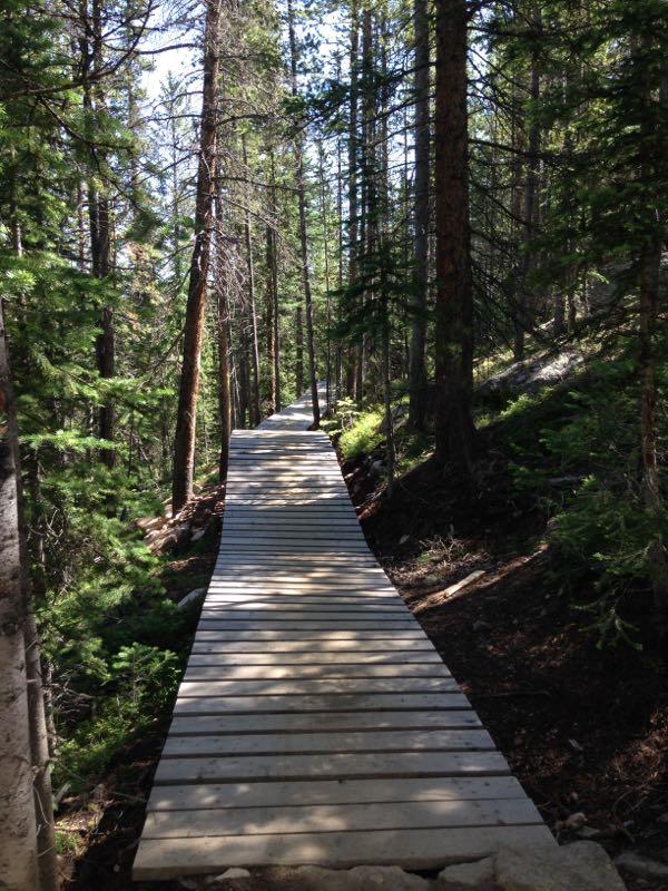 A winding wooden boardwalk path through a dense forest of tall pine trees, with dappled sunlight filtering through the foliage. The path is surrounded by greenery and the earthy forest floor, creating a serene and natural setting. Trestle Bike Park mountain bike trail.