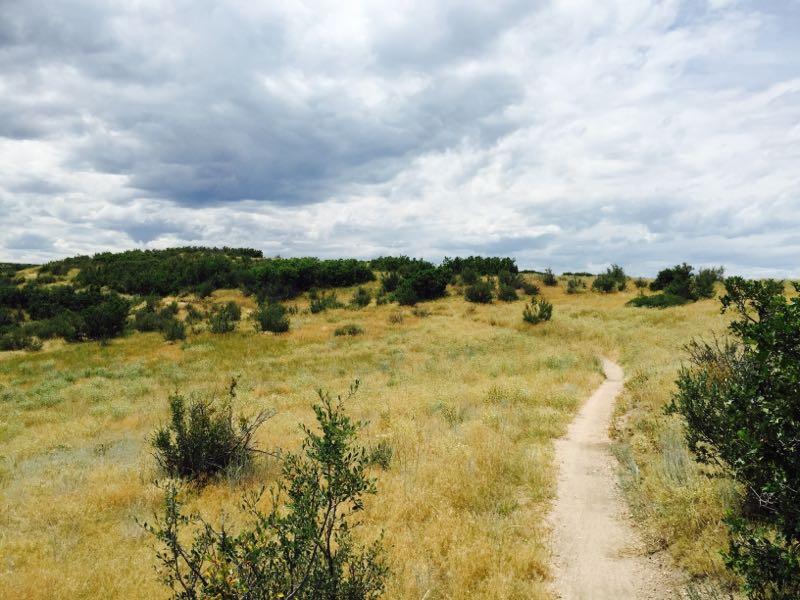 A winding dirt path through an open grassy landscape, flanked by low shrubs, under a cloudy sky. The horizon features a gentle rise with more greenery, suggesting a tranquil natural environment. Ridgeline Open Space Trail mountain bike trail.