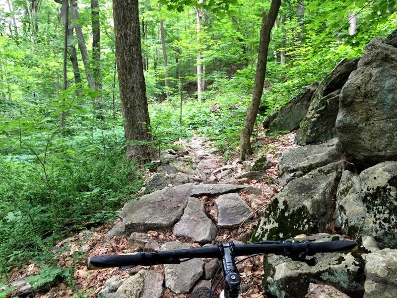 A view of a rocky trail in a dense forest, with a mountain bike's handlebars visible in the foreground. The path is surrounded by lush greenery, including trees and foliage, indicating a natural, outdoor setting. Allamuchy Mt. State Park: Deer Park mountain bike trail.