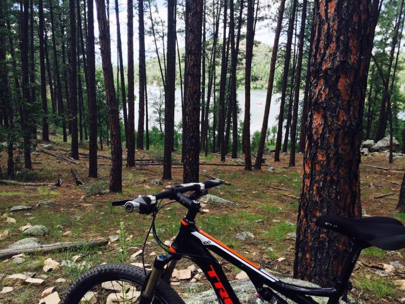 A mountain bike parked among tall pine trees, with a scenic lake visible in the background. The ground is covered in green grass and scattered rocks. The sky is partly cloudy, creating a serene outdoor atmosphere. Goldwater Lake (Trail 396) mountain bike trail.