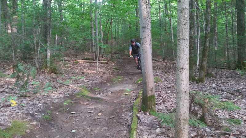 A cyclist riding along a dirt trail in a lush green forest, surrounded by trees and foliage. The path is narrow, winding through the woods, with patches of sunlight filtering through the leaves above. Mont Chatel mountain bike trail.