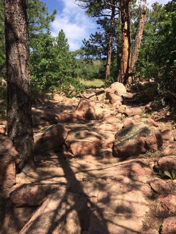 A rocky hiking trail winding through a forest, surrounded by tall trees and patches of greenery, under a partly cloudy sky. Falcon Trail mountain bike trail.