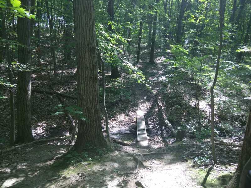 A serene wooded path in a forest, featuring tall trees with green foliage. A small wooden bridge crosses a stream, leading to a natural trail. Sunlight filters through the leaves, casting dappled shadows on the ground. Colonie Town Park/Ridge Trail mountain bike trail.