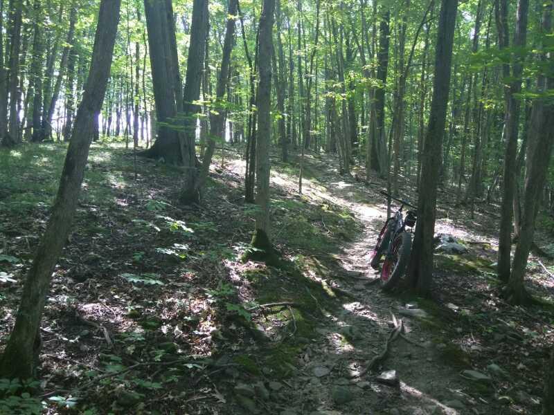 A narrow dirt trail winding through a lush green forest with tall trees. Sunlight filters through the leaves, casting dappled shadows on the ground. In the background, a motorcycle is parked alongside the trail. Colonie Town Park/Ridge Trail mountain bike trail.