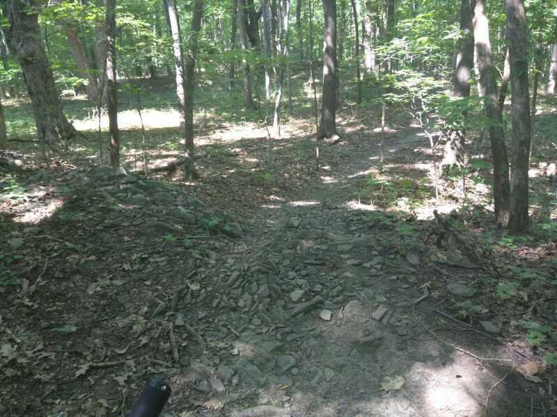 A wooded path with a mix of rocks and dirt, surrounded by trees with green leaves. Sunlight filters through the canopy, casting dappled shadows on the ground. Colonie Town Park/Ridge Trail mountain bike trail.