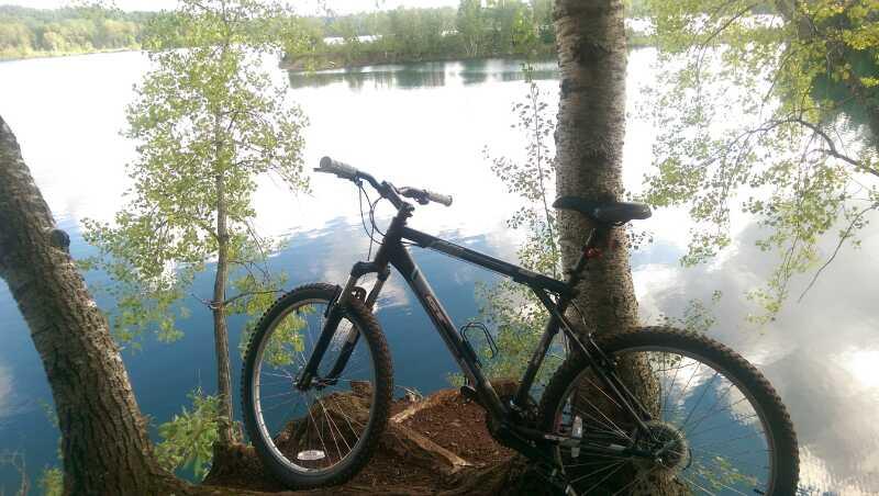 A mountain bike is leaning against a tree near the edge of a calm lake, surrounded by lush greenery. The serene water reflects the blue sky and clouds, creating a tranquil outdoor scene ideal for biking and nature enthusiasts. Cuyuna Lakes mountain bike trail.