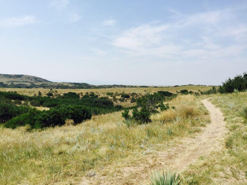 A scenic view of a grassy landscape with a winding dirt path, bordered by patches of shrubs and low trees, under a bright blue sky with wispy clouds. The hills are visible in the background, creating a tranquil natural setting. Ridgeline Open Space Trail mountain bike trail.