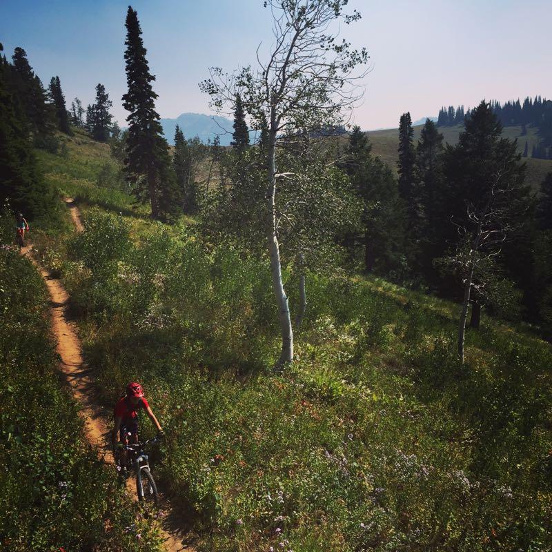A mountain biker in a red shirt rides along a dirt trail surrounded by lush greenery and trees in a mountainous landscape. The scene features sunny weather, with distant hills visible in the background. Grand Targhee Bike Park mountain bike trail.