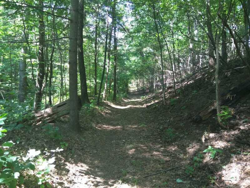 A narrow dirt path winding through a lush, green forest, framed by tall trees on either side. Sunlight filters through the leaves, creating a dappled light effect on the ground, which is covered in fallen leaves and underbrush. The scene conveys a peaceful and natural environment, inviting for a walk or hike. Cemetery Loop mountain bike trail.