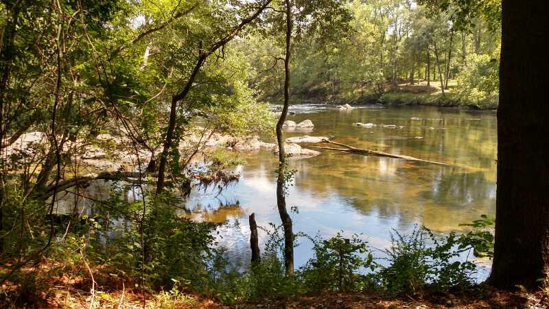 A serene view of a calm river surrounded by lush trees and vegetation, with rocks partially visible in the water. Sunlight filters through the leaves, creating a tranquil atmosphere in a natural setting. Saluda Shoals Park mountain bike trail.