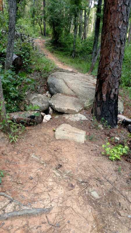 A rocky path winding through a forest, flanked by tall trees and lush greenery. Large boulders are positioned along the trail, with patches of exposed soil and scattered pine needles. Sunlight filters through the canopy, creating a natural, serene atmosphere. Forks Area Trail System (FATS) mountain bike trail.