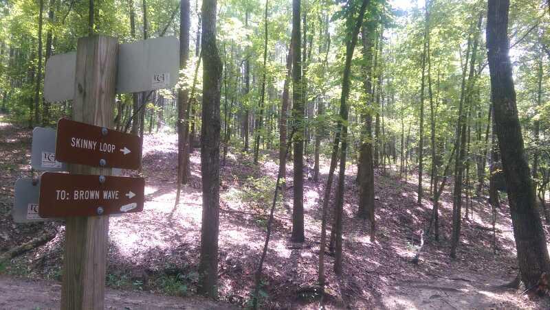 A wooden signpost in a forested area, displaying multiple trail directions, including "Skinny Loop" and "To: Brown Wave." Sunlight filters through the trees, casting dappled shadows on the ground. Forks Area Trail System (FATS) mountain bike trail.
