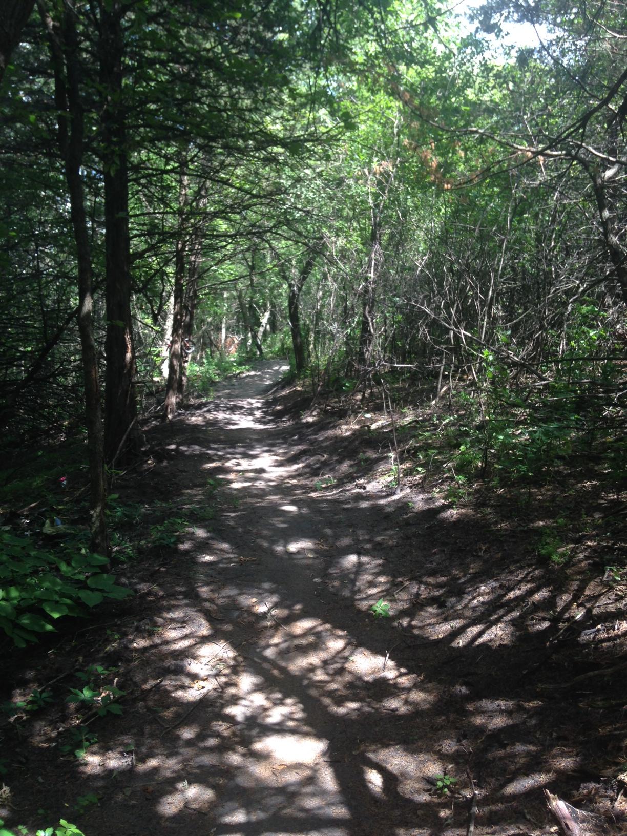 A narrow dirt path winds through a lush green forest, surrounded by tall trees and dense foliage. Sunlight filters through the leaves, creating a patchy pattern of light and shadow on the ground. The path appears slightly uneven, with patches of soil and small plants along the edges. Bertram Chain of Lakes Trail mountain bike trail.