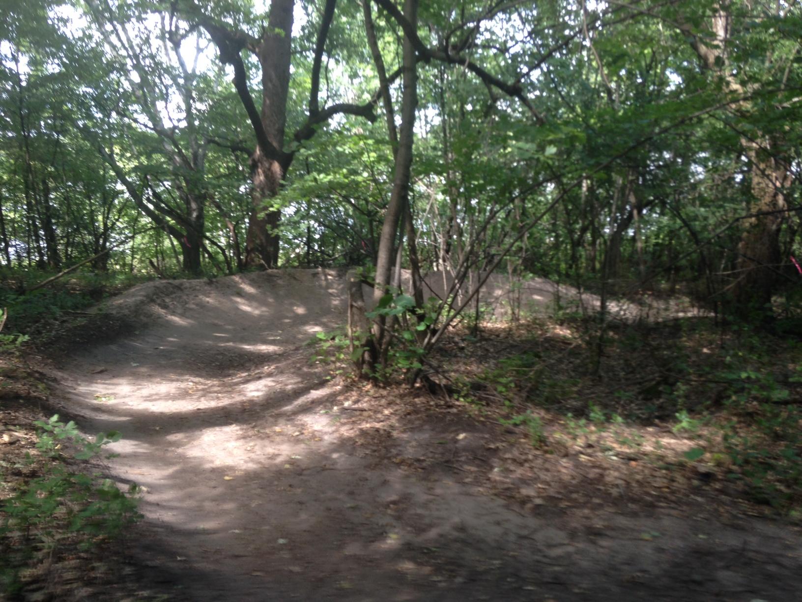 A dirt bike trail winding through a wooded area, featuring slight hills and curves, with sunlight filtering through the trees and a natural, earthy setting. Bertram Chain of Lakes Trail mountain bike trail.