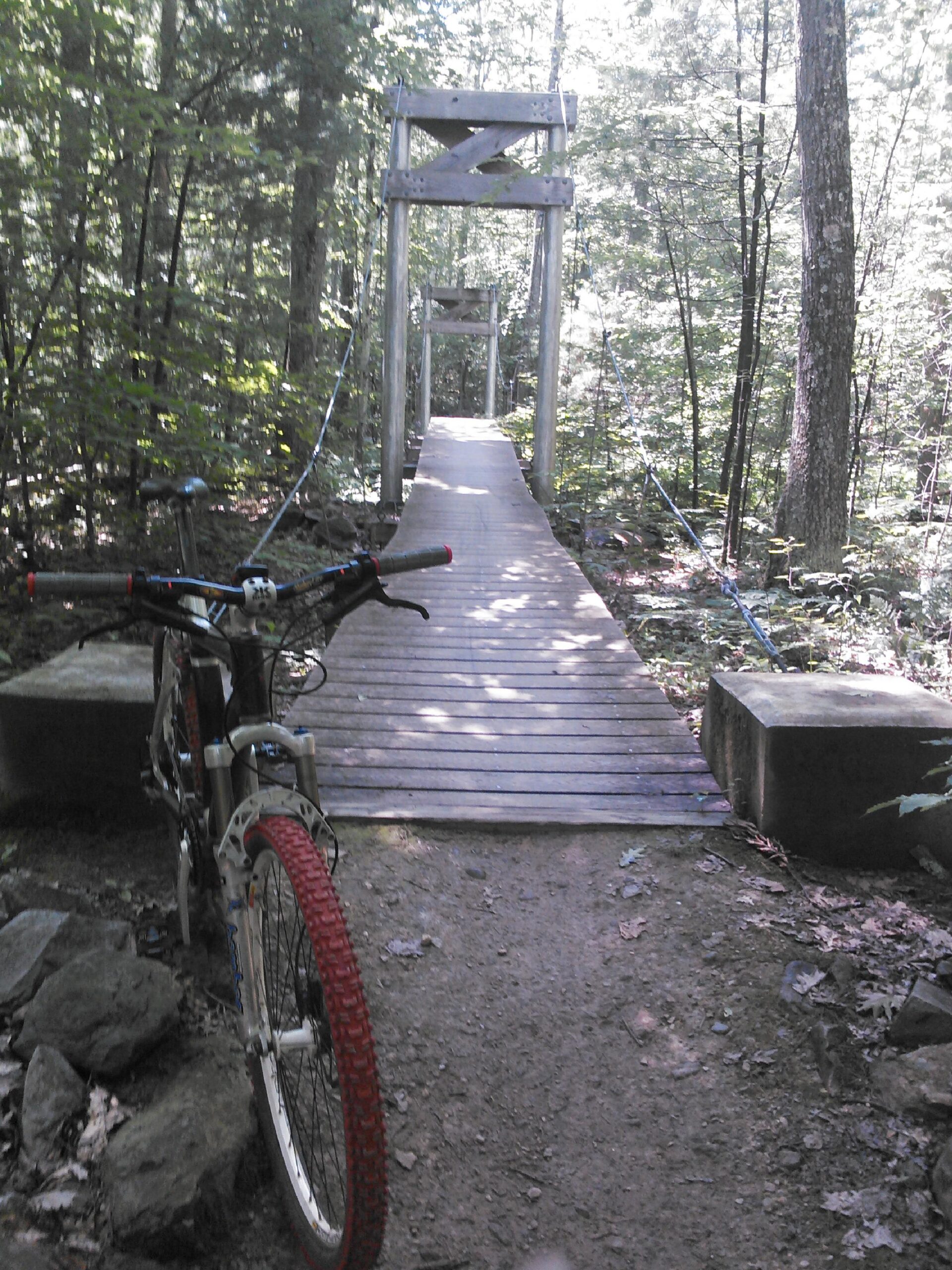 GT STS 1500 DS: A mountain bike parked on a dirt trail in a lush forest, with a wooden suspension bridge in the background. The bridge is elevated and supported by tall wooden pillars, surrounded by tall trees and dappled sunlight filtering through the leaves.