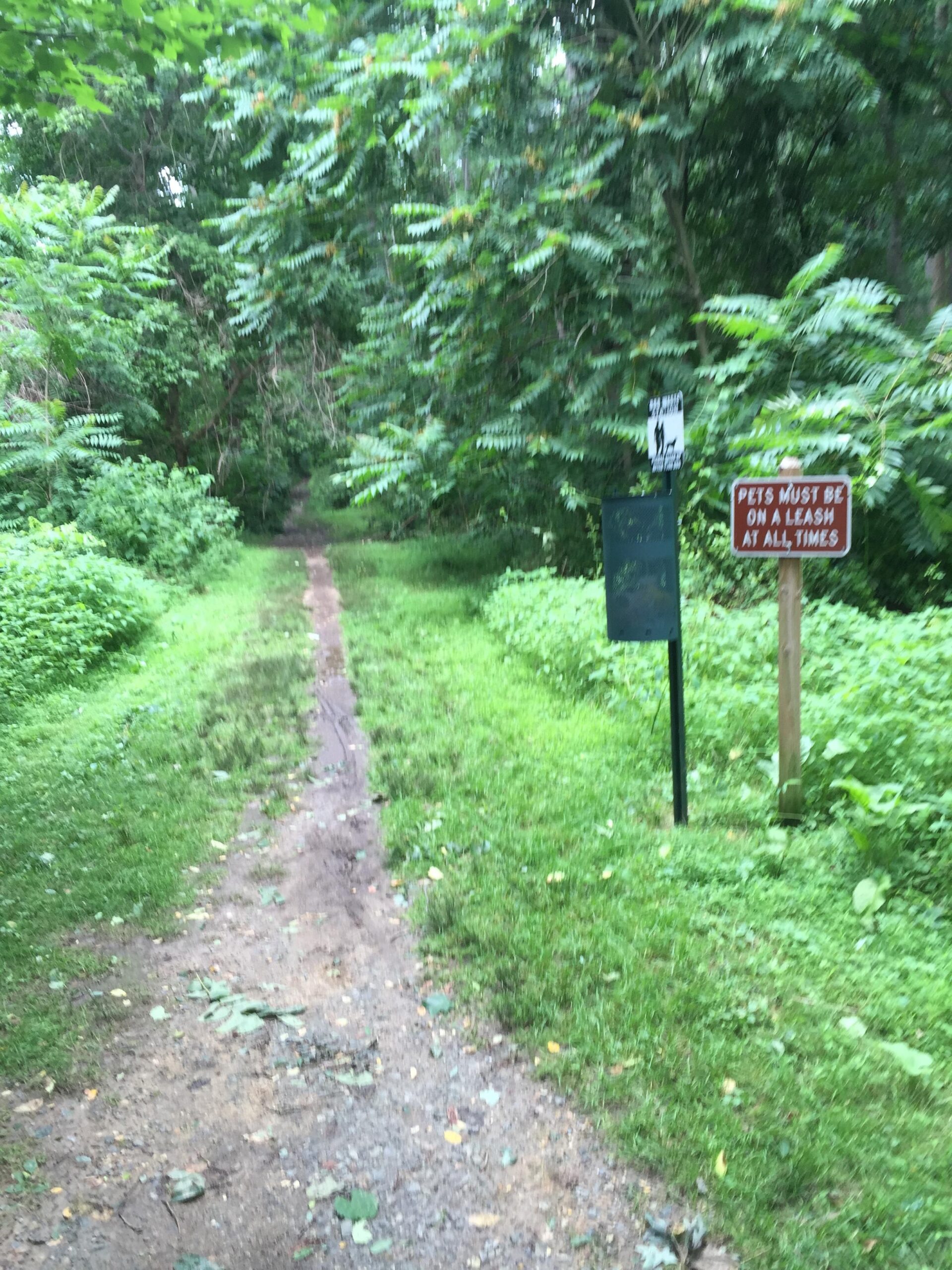 A dirt pathway through a lush green forest with tall trees and thick foliage. There is a sign indicating that pets must be on a leash at all times, positioned near the entrance to the trail. Brandywine State Park mountain bike trail.