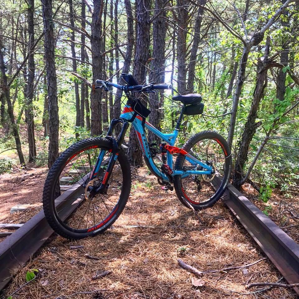 Trek Remedy: A blue and orange mountain bike resting on a narrow trail surrounded by tall pine trees and greenery. The ground is covered with pine needles and leaves, highlighting a serene, natural setting.