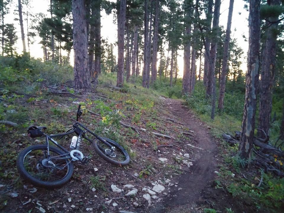 Surly Instigator: A mountain bike rests on the ground beside a dirt trail in a forest, surrounded by tall pine trees. The scene captures the serene atmosphere of an evening ride, with soft light filtering through the trees as the sun sets in the background.