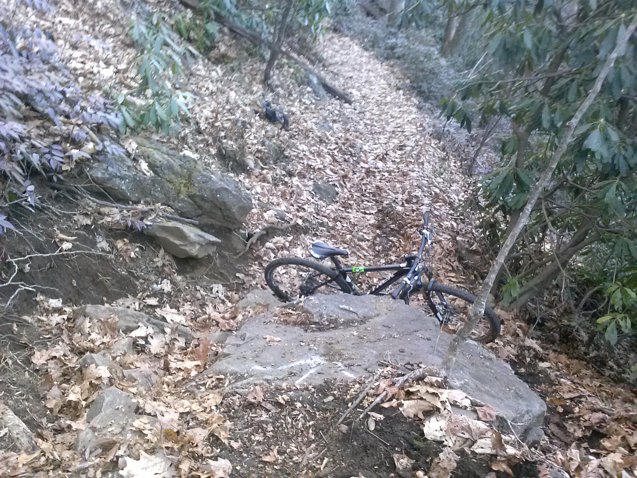 A mountain bike resting near a rocky area along a leaf-covered path in a wooded environment. The surrounding vegetation includes trees and low shrubs. Farlow Gap mountain bike trail.