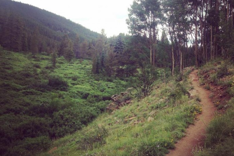 A winding dirt trail runs through a lush green hillside, flanked by trees on the right and vibrant wildflowers in the foreground. The path leads into a scenic valley surrounded by distant mountains under a cloudy sky.
