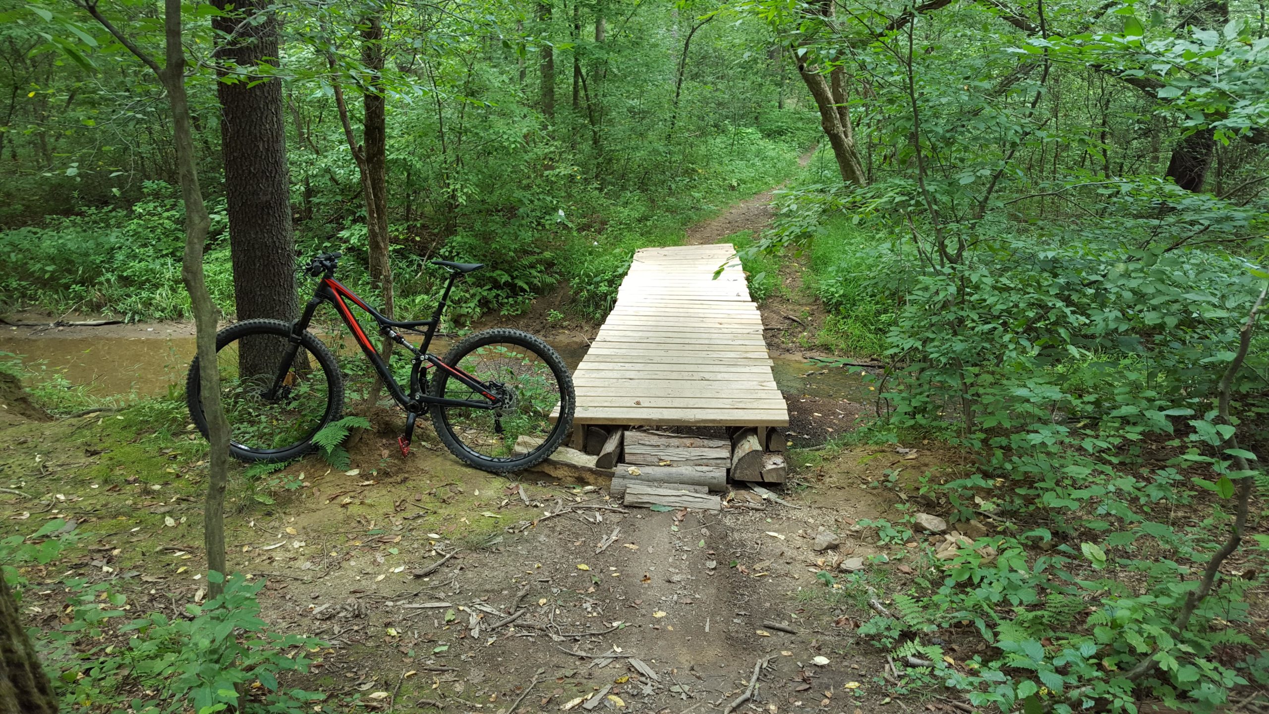 Yellow Creek State Park Photos