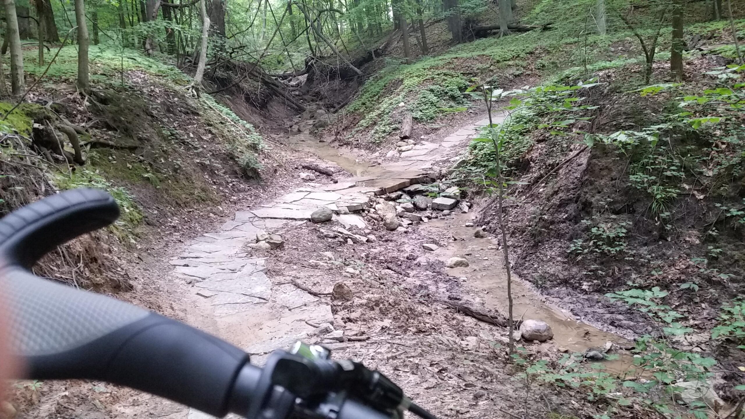 A close-up view of a rocky biking trail surrounded by lush greenery in a wooded area, with a bicycle handlebar in the foreground. The trail is slightly muddy, featuring scattered stones and a small stream of water running through it. Merrell Trail mountain bike trail.