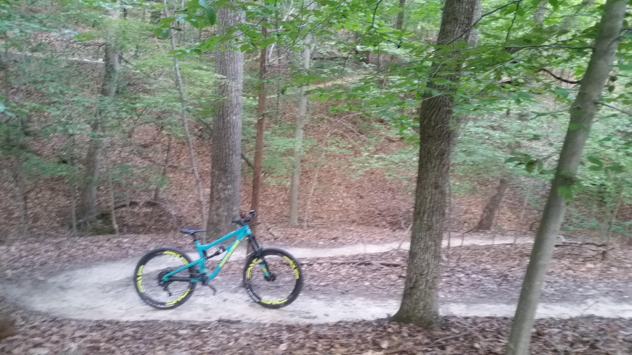 Santa Cruz Nomad: Mountain bike resting on a dirt trail surrounded by lush green trees and fallen leaves, with a winding path visible in the background.