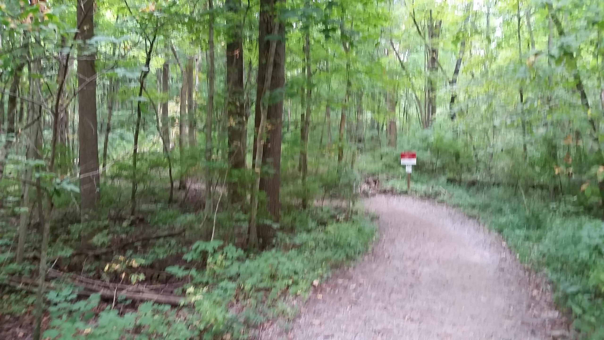 A winding gravel path through a lush green forest, with tall trees and dense underbrush on either side. A signpost is visible along the path, partially obscured by the foliage. The scene evokes a sense of tranquility and natural beauty. Fort Harrison State Park mountain bike trail.