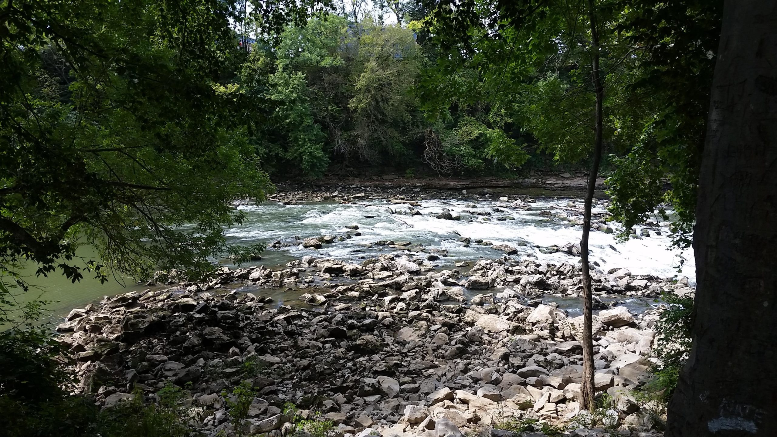 A tranquil river scene featuring rushing water flowing over rocky beds, surrounded by lush greenery and trees. The sunlight filters through the leaves, casting dappled shadows on the rocks near the water's edge. Low Hollow mountain bike trail.