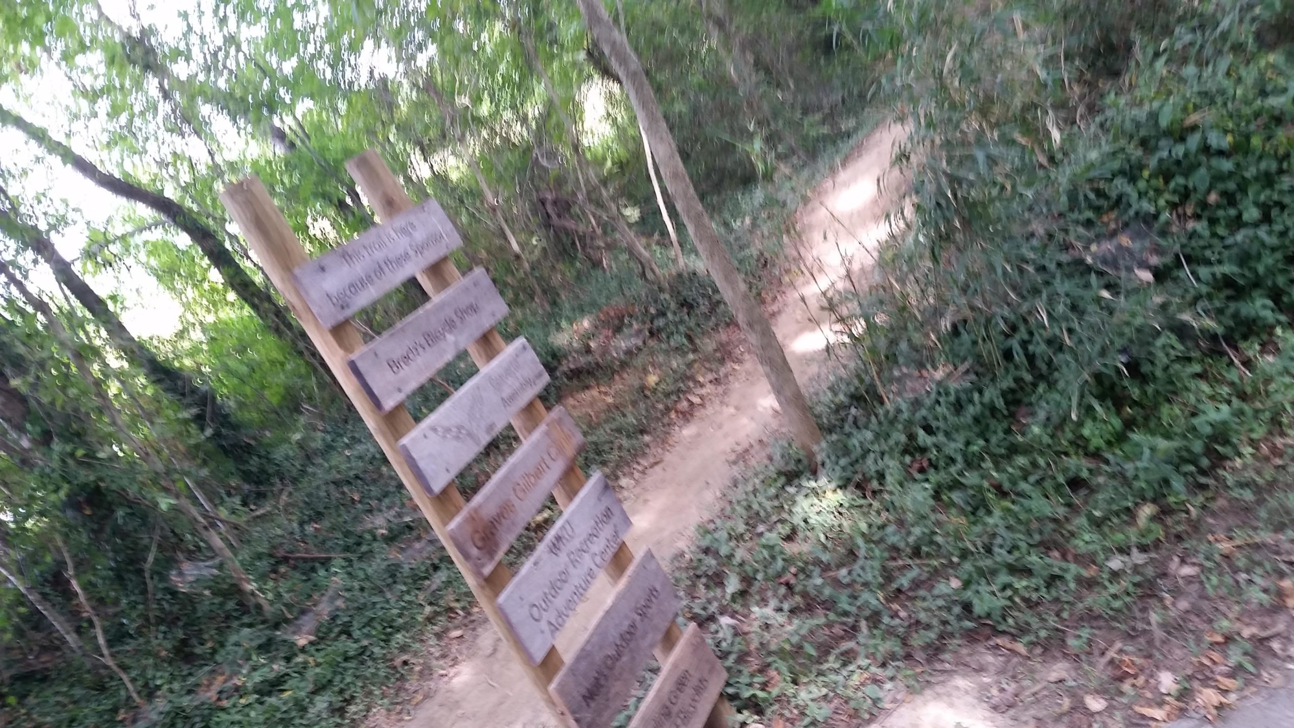 A wooden signpost with multiple directional signs stands in a green, wooded area, near a dirt path winding through the trees. The path is framed by dense foliage and the sunlight filters through the leaves above. Low Hollow mountain bike trail.