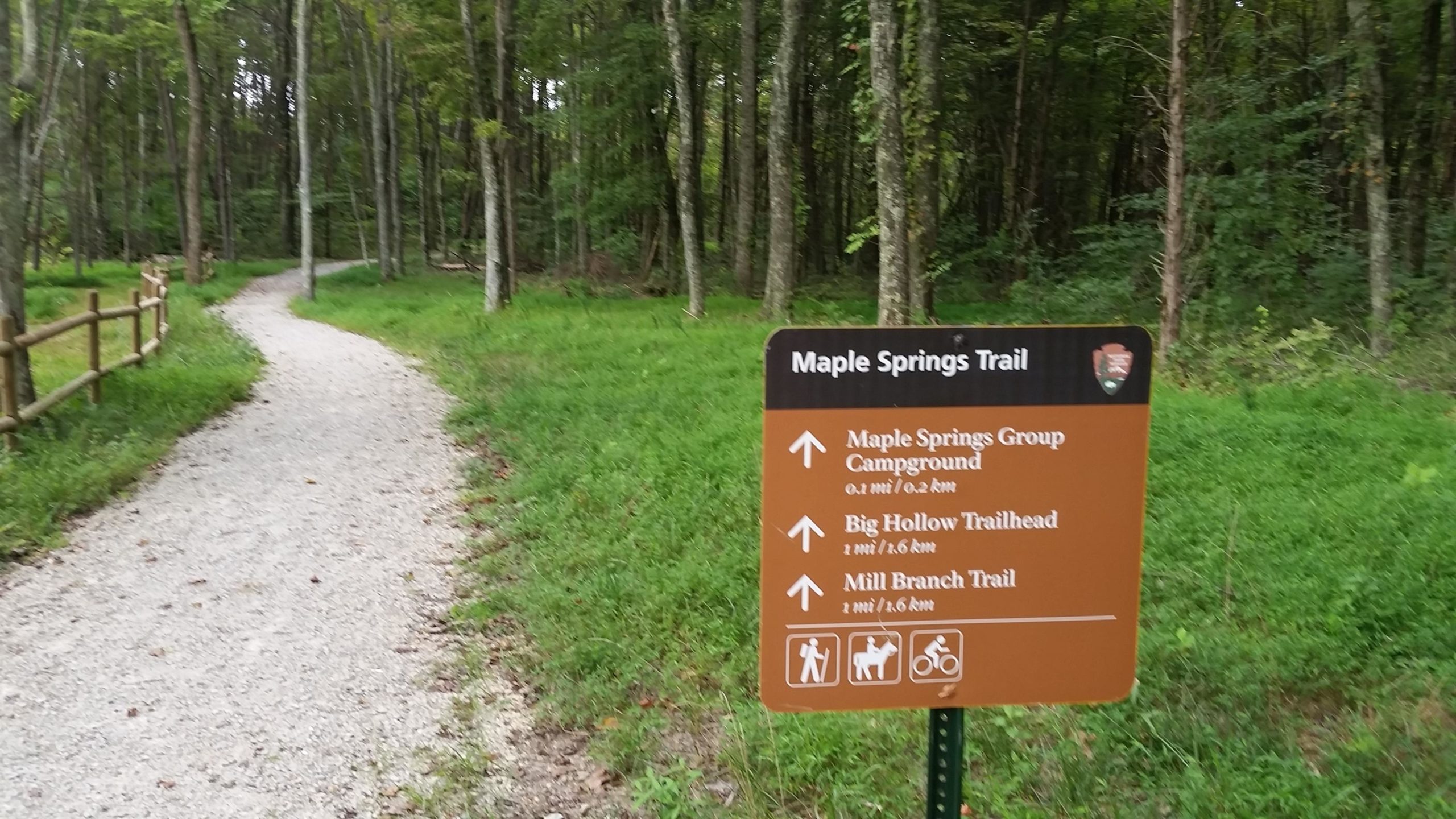 Signage for Maple Springs Trail located in a wooded area, with a gravel path winding through greenery. The sign lists directions to nearby points of interest including the Maple Springs Group Campground, Big Hollow Trailhead, and Mill Branch Trail, with distances indicated in both miles and kilometers. Big Hollow Trail mountain bike trail.