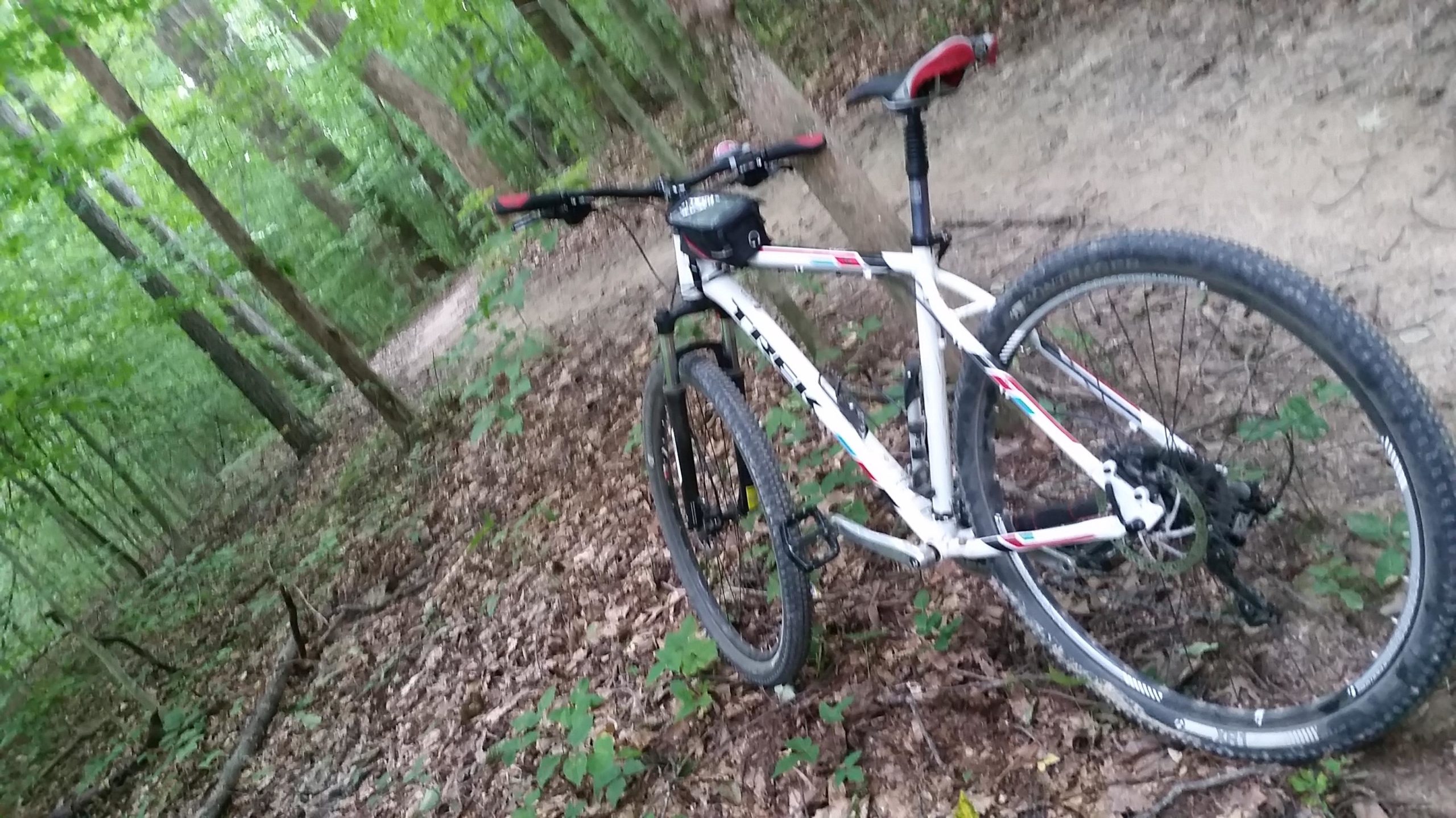 A white mountain bike is leaning on the ground amidst a wooded area with green trees and a dirt trail visible in the background. The forest floor is covered with leaves and small plants, suggesting a natural outdoor environment. Big Hollow Trail mountain bike trail.