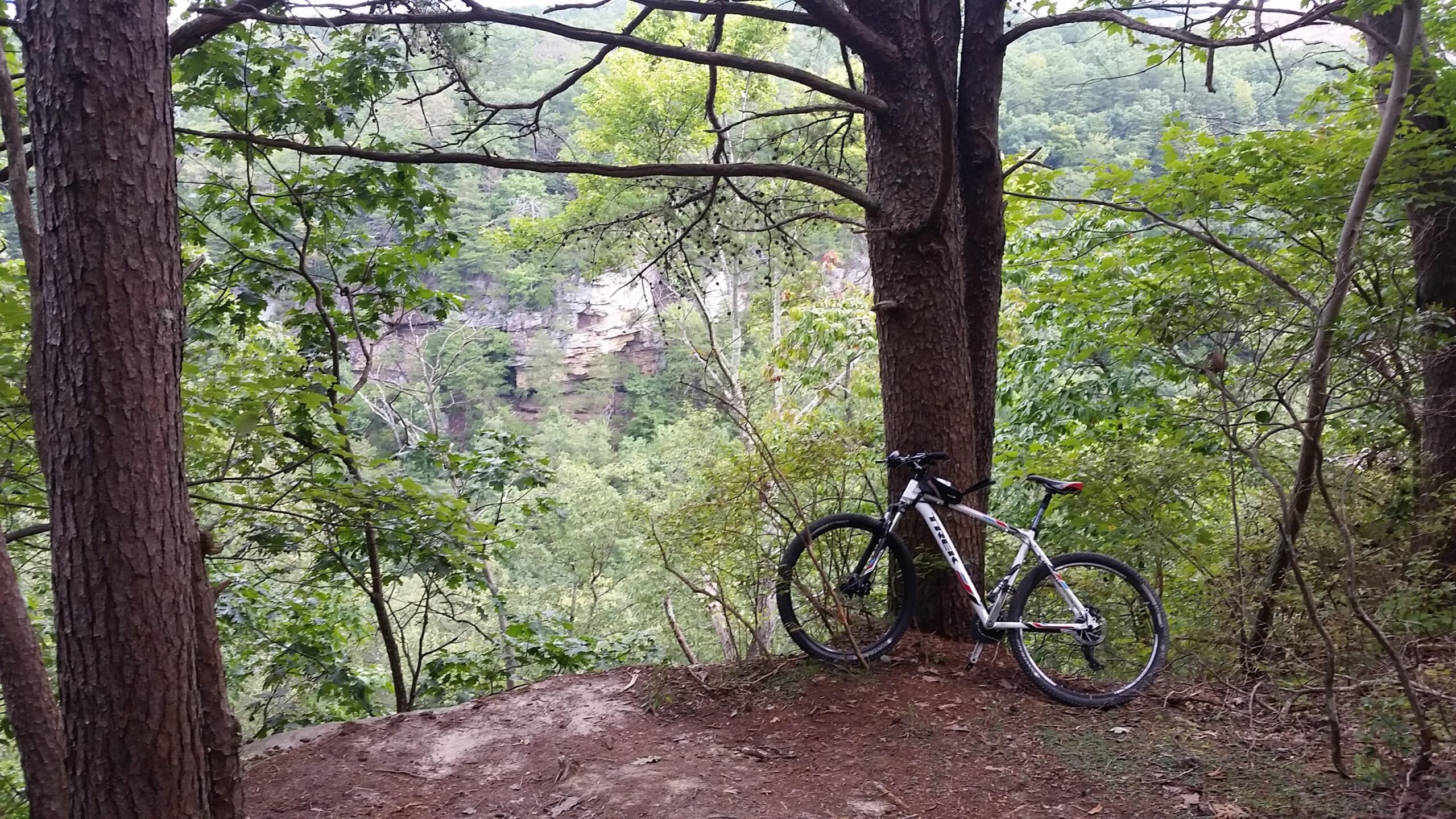 A mountain bike leaning against a tree on a wooded trail, overlooking a lush green valley and rocky cliffs in the background. Raccoon Mountain Trail Network mountain bike trail.