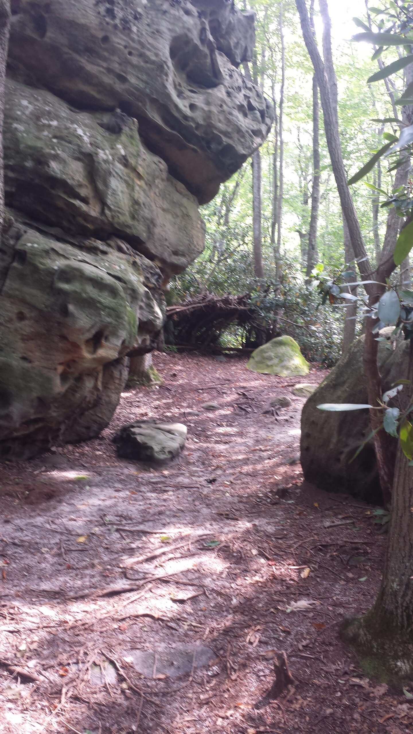 A narrow trail surrounded by large, rugged rocks and trees, with scattered leaves and branches on the ground. The sunlight filters through the tree canopy, creating a serene and natural atmosphere. Fork Run mountain bike trail.