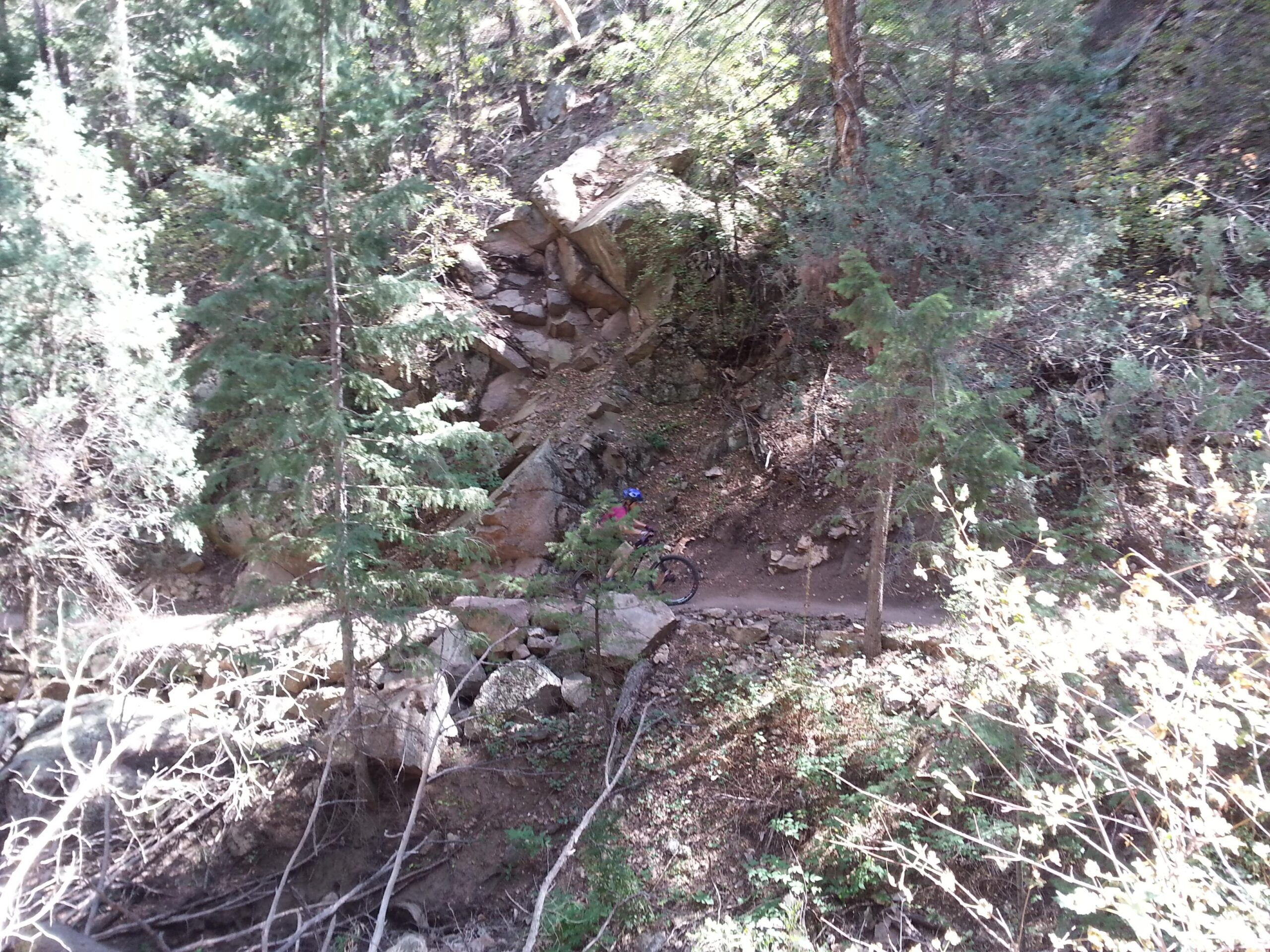 A mountain biker navigating a dirt path in a wooded area, surrounded by tall trees and rocky terrain. Sunlight filters through the foliage, illuminating sections of the trail and rocks. Betasso Preserve mountain bike trail.