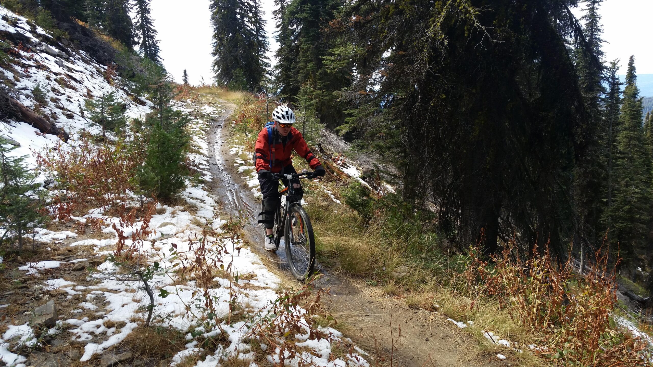 A mountain biker wearing a helmet and sunglasses rides along a dirt trail surrounded by evergreen trees and patches of snow. The scene shows a mix of autumn foliage and a grassy path leading through a mountainous landscape. Elk Trail mountain bike trail.