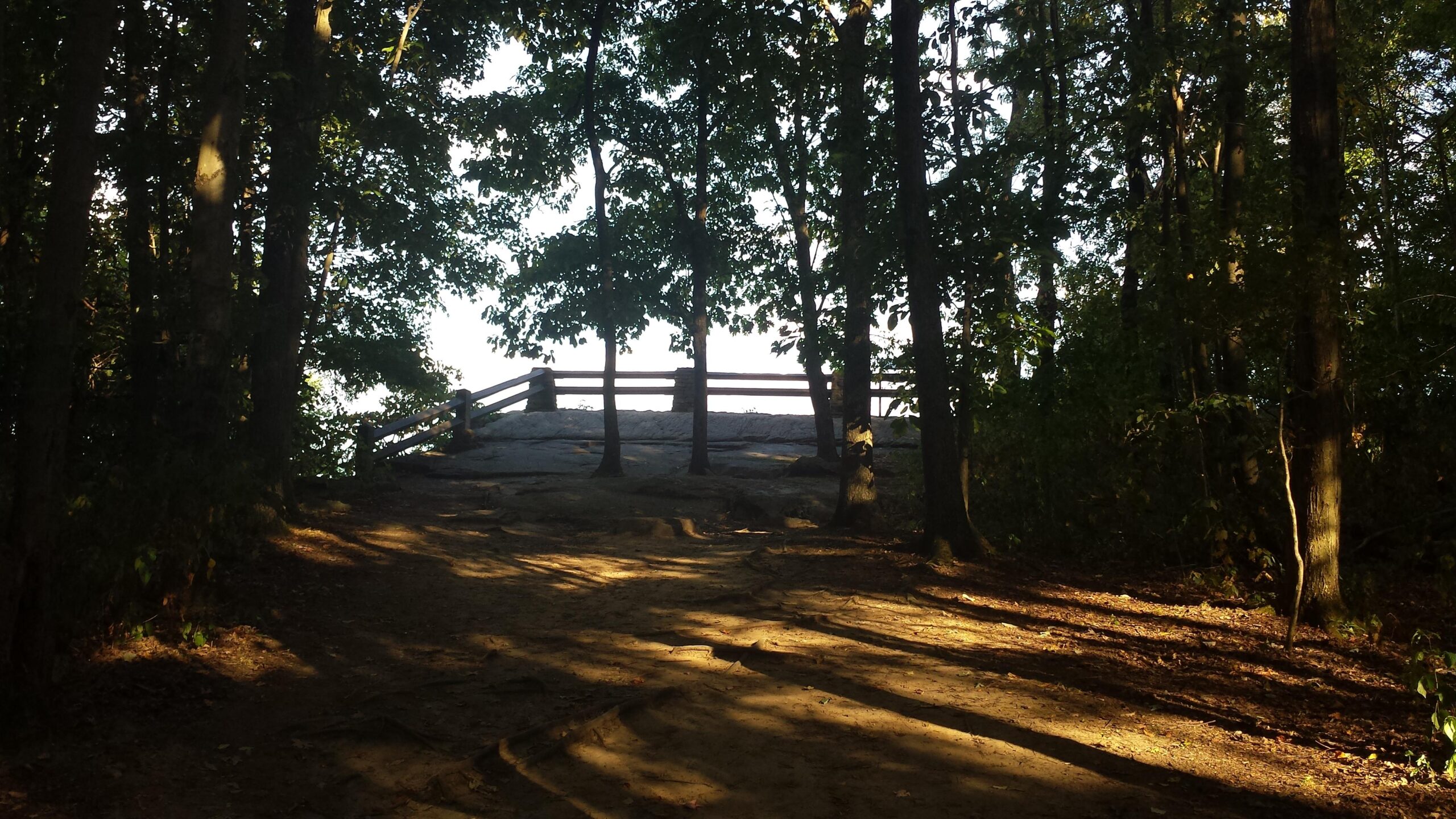 A dirt path leading through a forest with sunlight filtering through the trees, leading to a rocky overlook with a wooden railing. The scene is peaceful and natural, surrounded by trees. Sugarloaf Mountain Bike Area mountain bike trail.