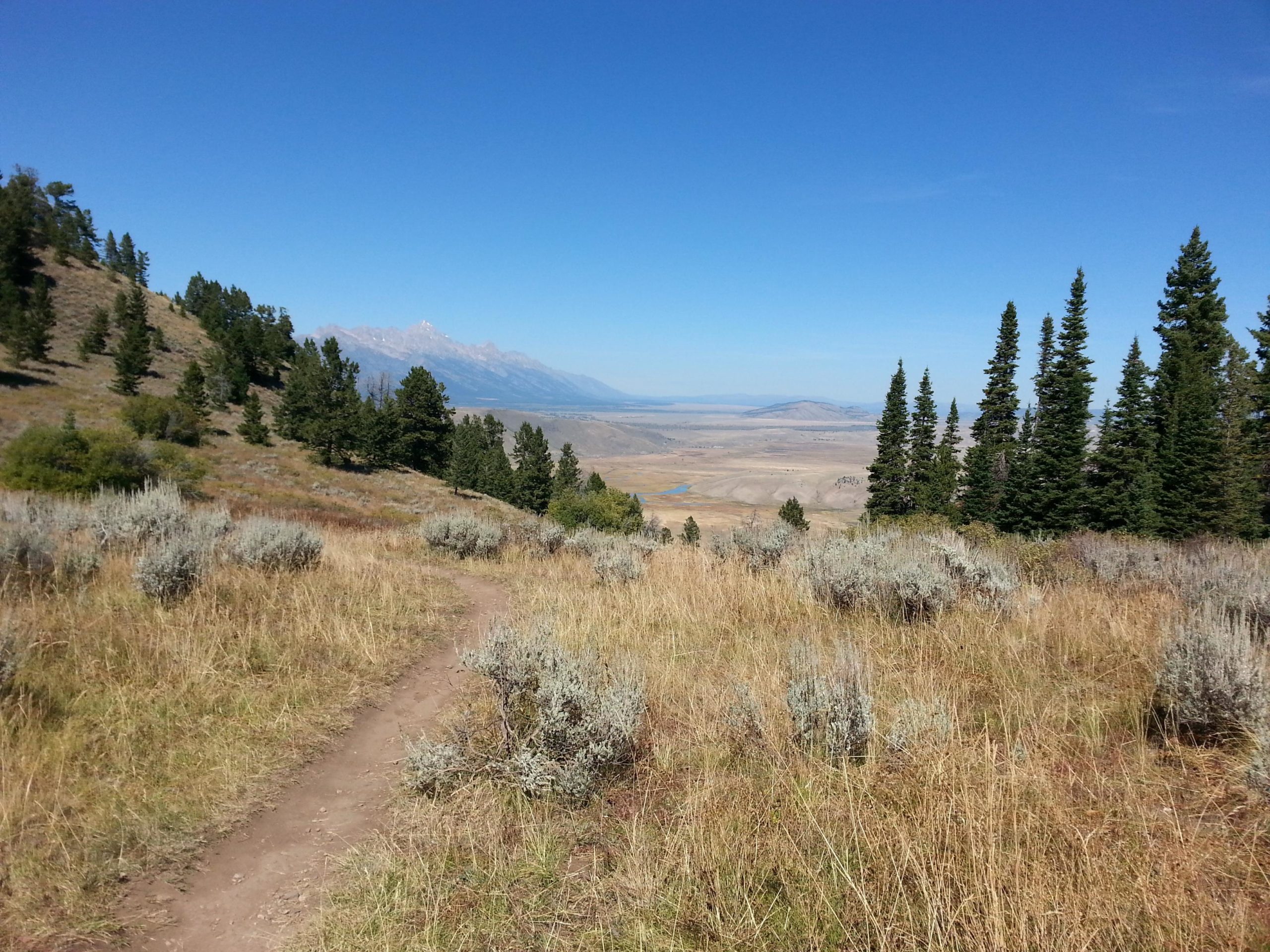 A scenic view from a hillside showing a dirt path winding through tall grasses and shrubs, with evergreen trees on either side. In the distance, a vast valley is visible under a clear blue sky, with mountains partially covered in snow. The landscape features a mix of grassy plains and distant hills. Snow King Mountain mountain bike trail.