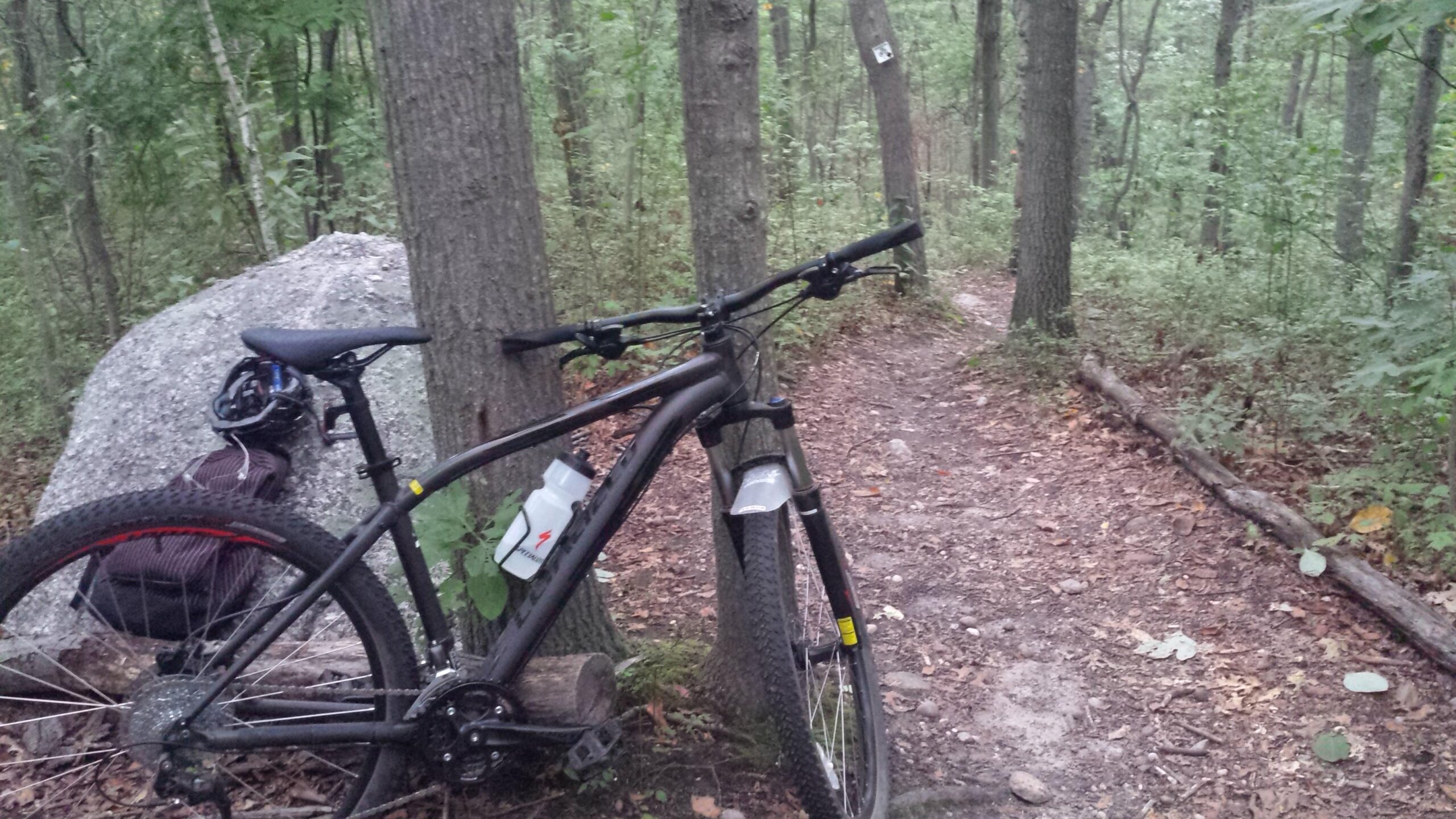 A mountain bike resting against a tree near a rocky outcrop on a forest trail. The scene is surrounded by lush greenery and earthy tones, with a visible dirt path leading deeper into the woods. A water bottle is attached to the bike frame, and a backpack is propped against a large boulder nearby.