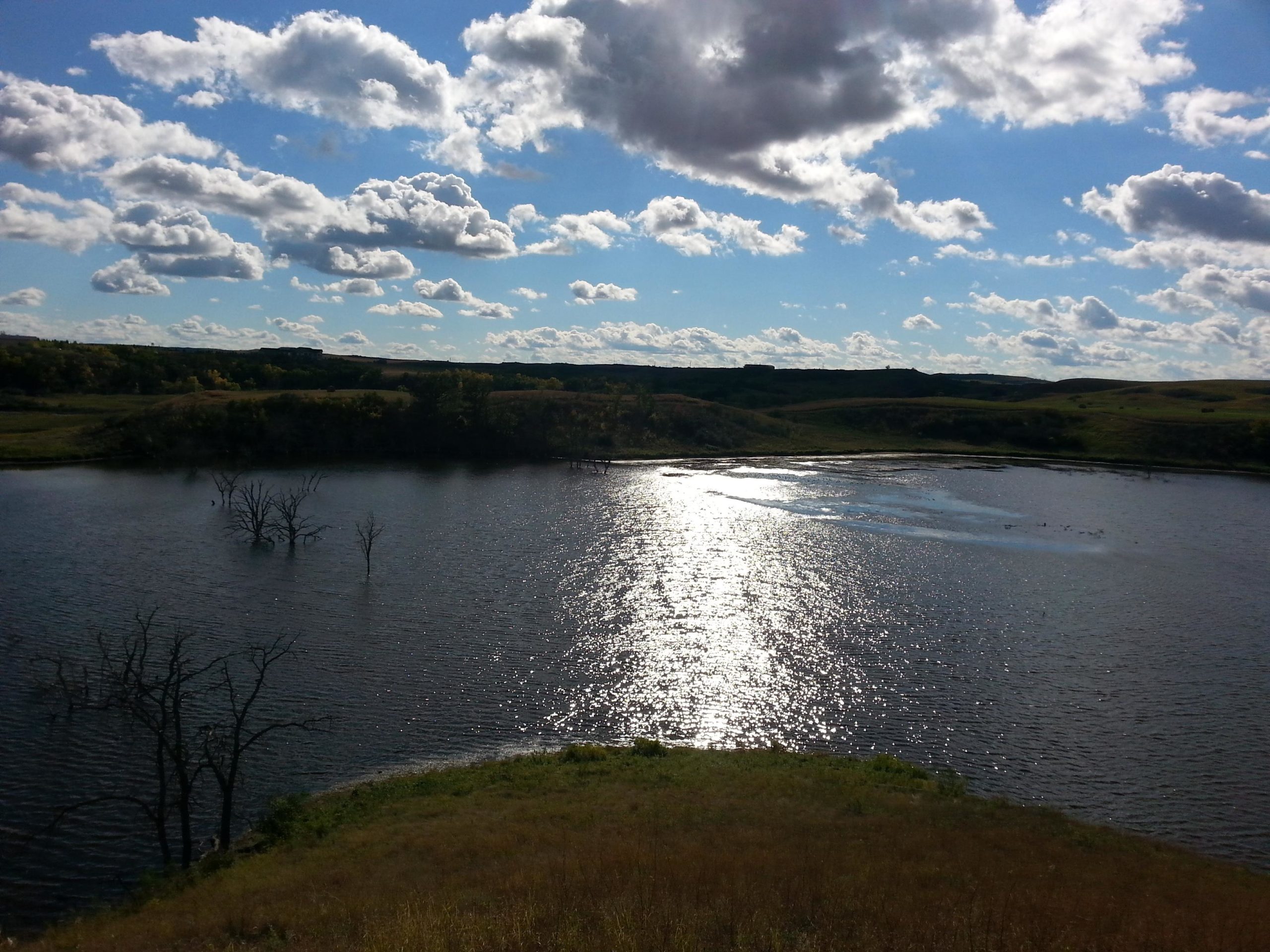 A serene landscape featuring a calm body of water reflecting sunlight, surrounded by gently rolling hills and a vibrant sky filled with fluffy clouds. A few dry tree trunks emerge from the water, adding to the tranquil scene. Harmon mountain bike trail.