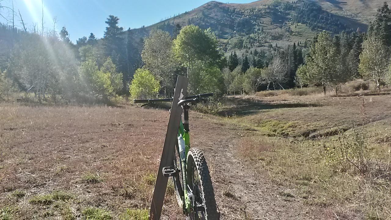 A mountain bike leaning against a wooden post in a grassy clearing, surrounded by trees and hills on a sunny day. Sheepherder Loop mountain bike trail.