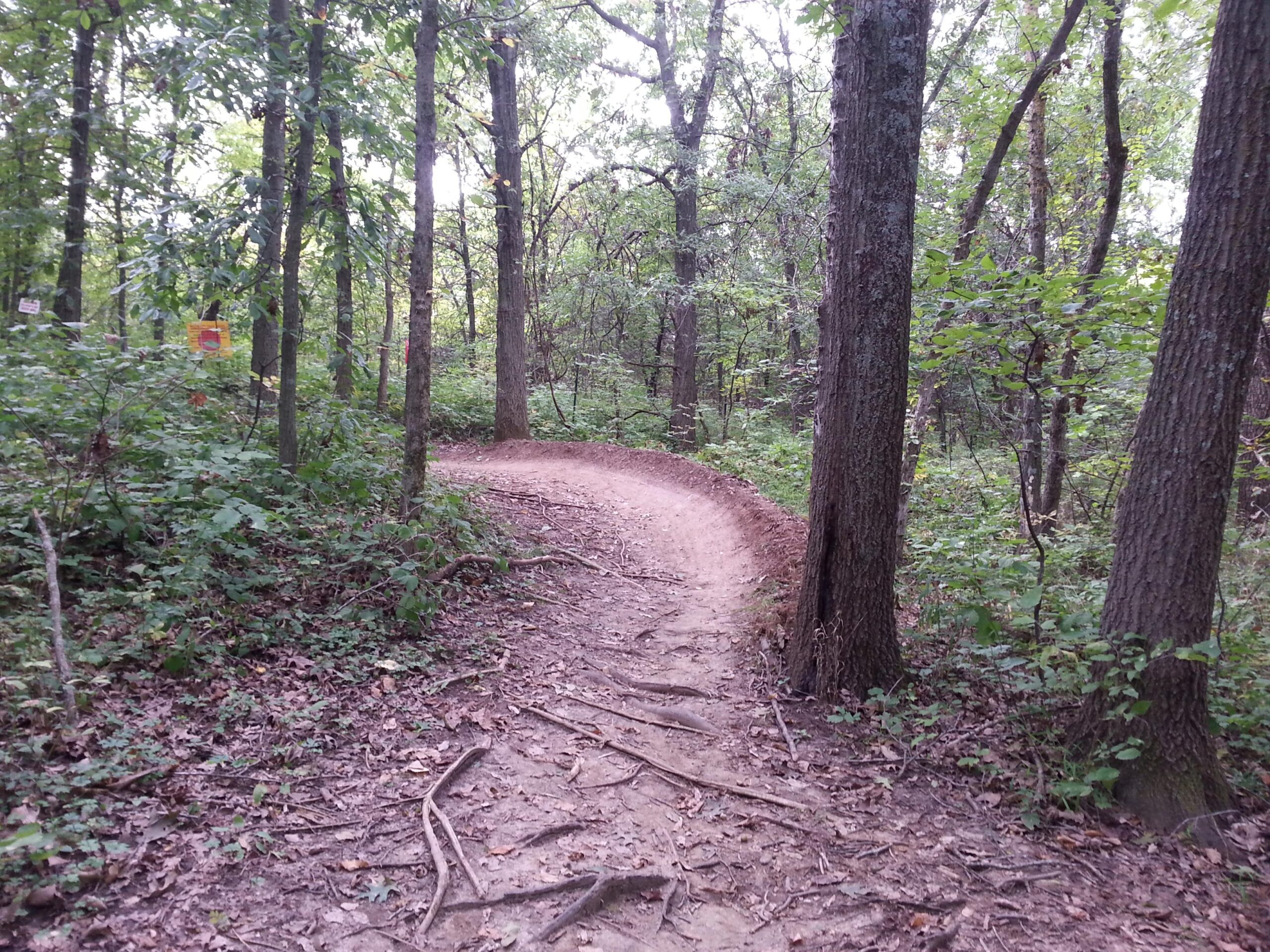A winding dirt trail surrounded by lush green trees and shrubs, leading through a wooded area. There are visible roots and leaves along the path, suggesting it's a natural hiking or biking trail. Landahl Park Reserve mountain bike trail.