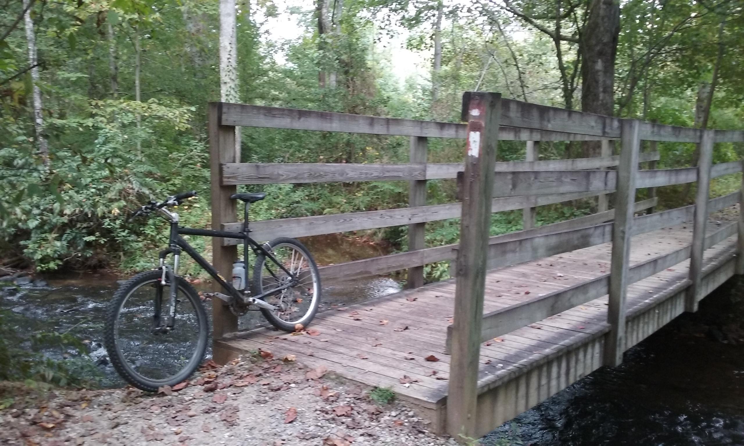 A black mountain bike resting against a wooden bridge over a small stream, surrounded by lush greenery and trees. The ground is covered with fallen leaves, and the scene suggests a peaceful outdoor setting ideal for cycling or hiking. Unicoi State Park mountain bike trail.