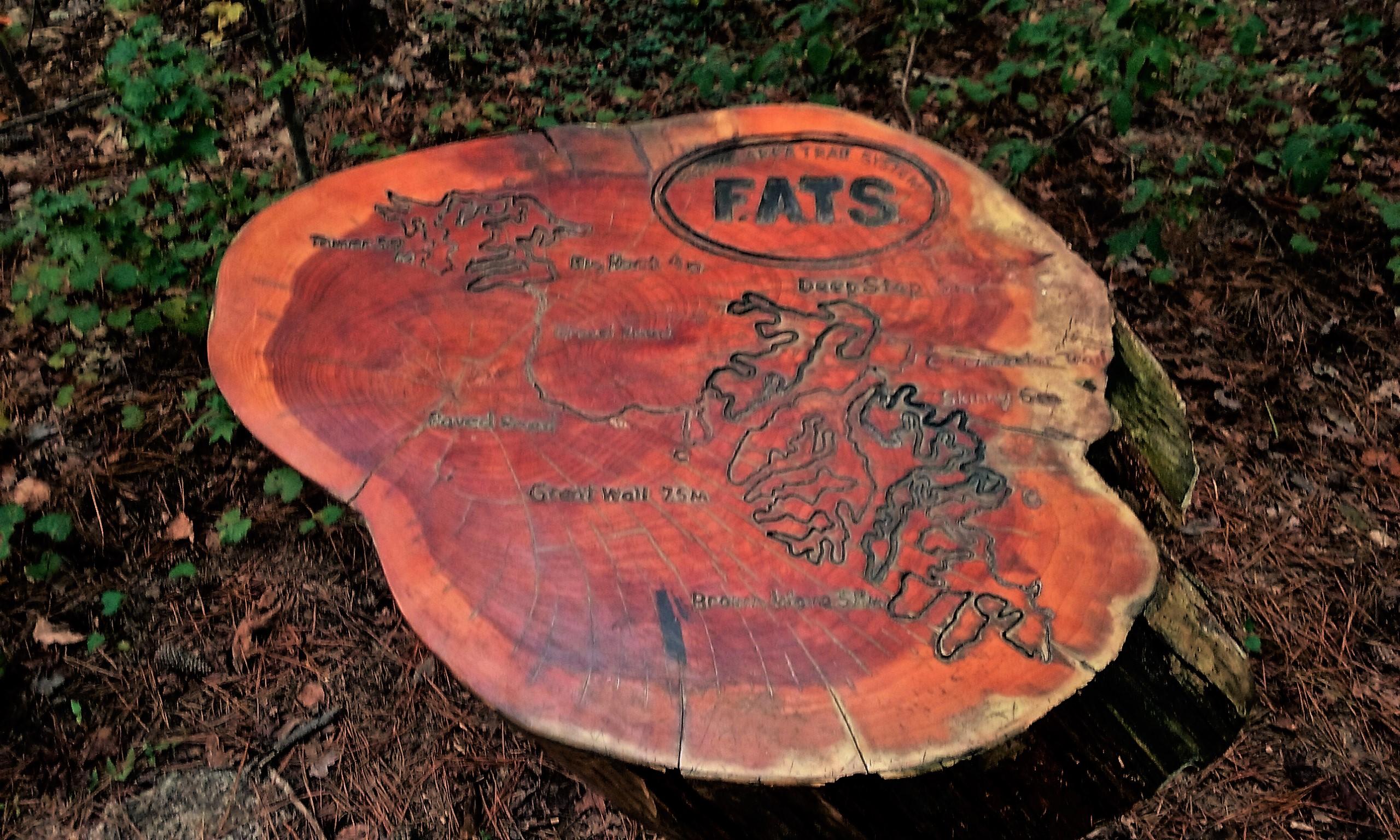 A cross-section of a tree stump engraved with a detailed map of mountain biking trails, featuring the name "FATS" prominently at the top. The map outlines various trails with labeled paths and distances, surrounded by a natural forest setting with scattered leaves and greenery. Great Wall Loop mountain bike trail.