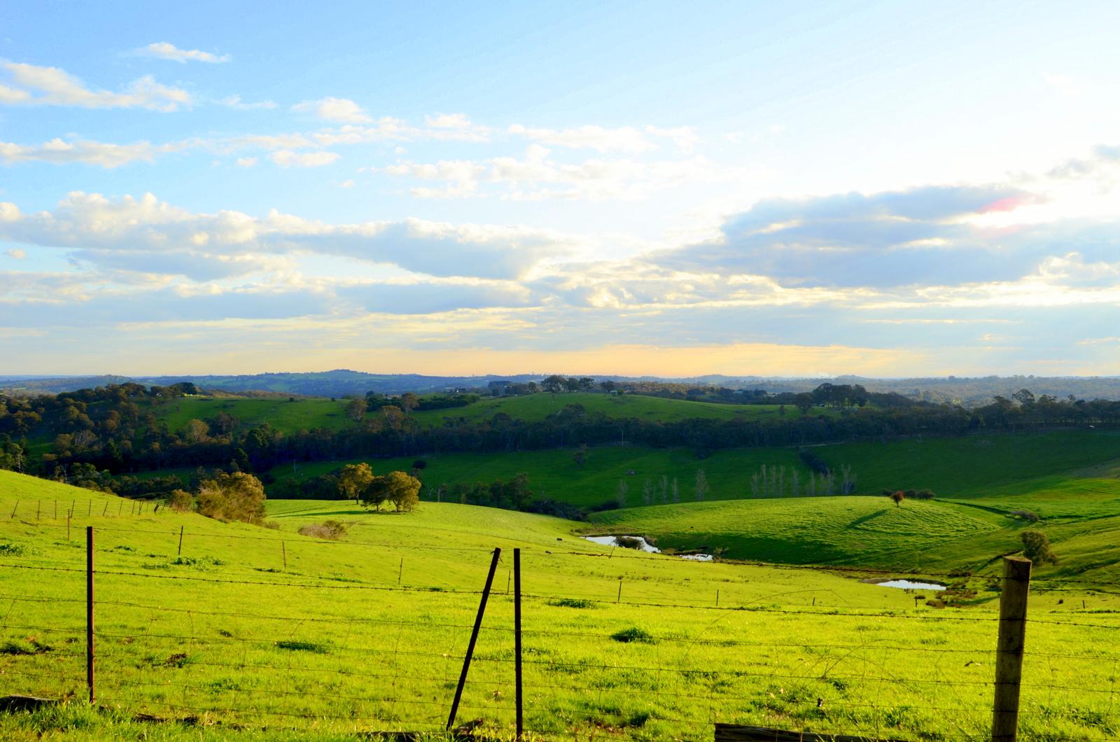 A picturesque landscape showing rolling green hills under a partly cloudy sky, with a gentle gradient of colors from the horizon. Fenced pastures with scattered trees can be seen, along with a small body of water in the foreground, creating a serene rural scene. Smiths Gully mountain bike trail.