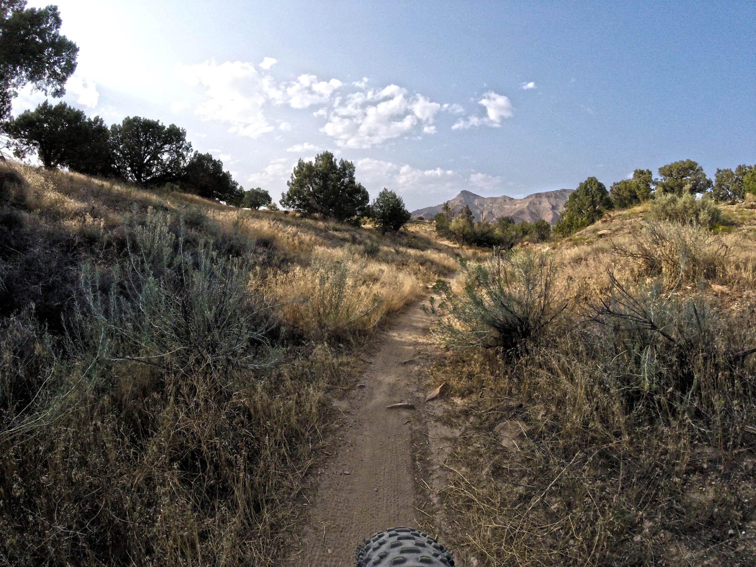 A dirt biking trail winding through a grassy landscape with shrubs and scattered trees, set against a backdrop of distant mountains under a partly cloudy sky. 18 Road Trails / North Fruita Desert mountain bike trail.